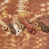 メズマライジングモーメントコレクションパレット - Deardahlia JAPAN