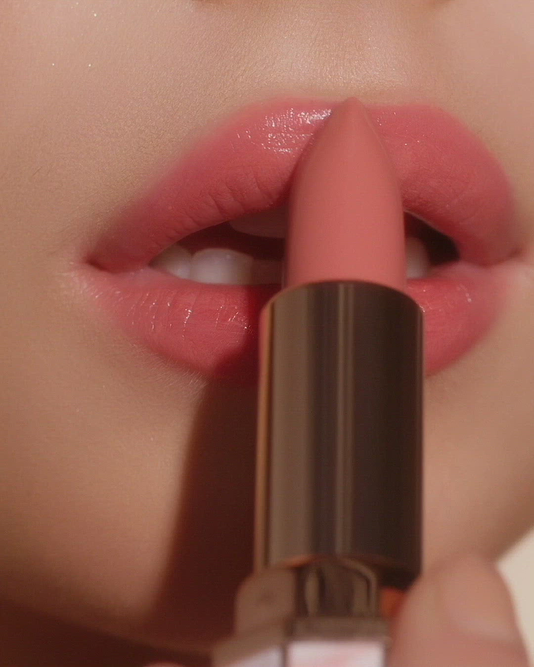 ♡まとめセット　ディアダリア neutral_01_1200x.jpg?v=1712649489